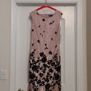 Brand new, never won